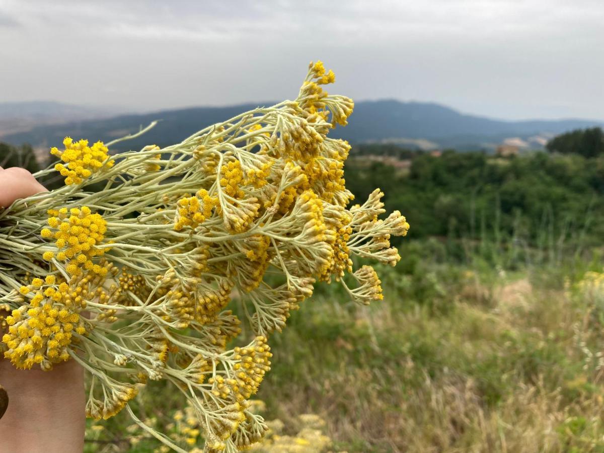 Piccola Casa Toscana Con Giardino Con Vista Mozzafiato Podere Cordicella 外观 照片