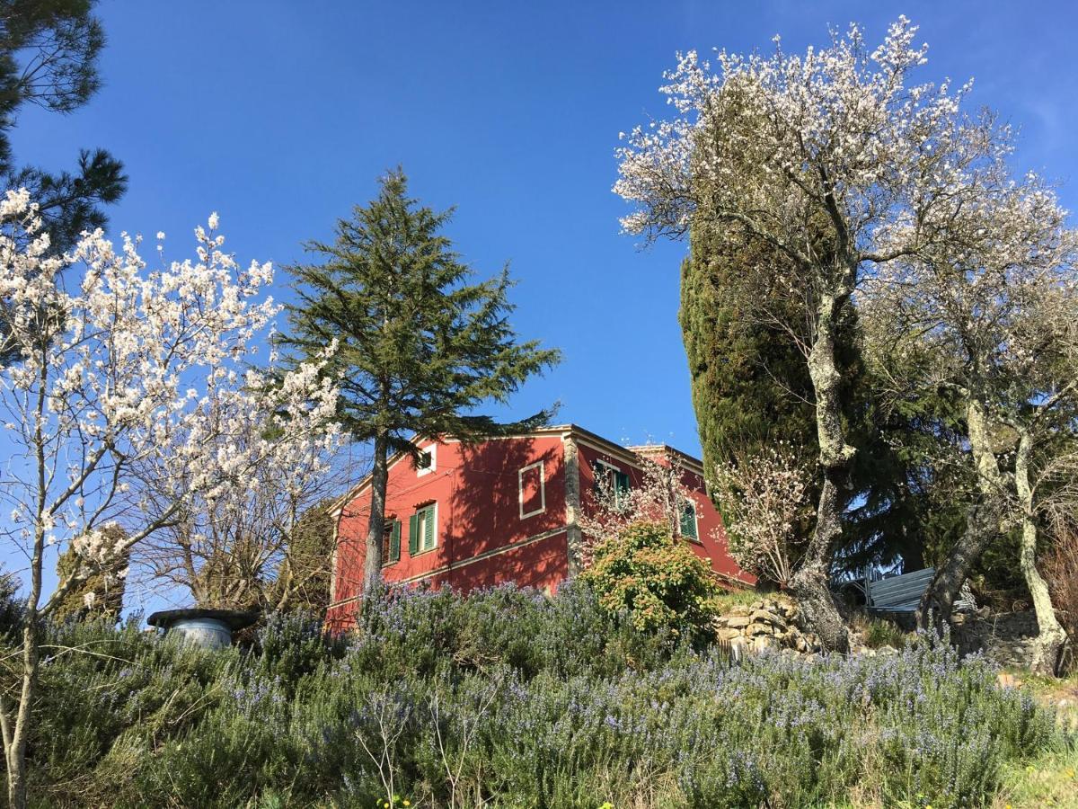 Piccola Casa Toscana Con Giardino Con Vista Mozzafiato Podere Cordicella 外观 照片